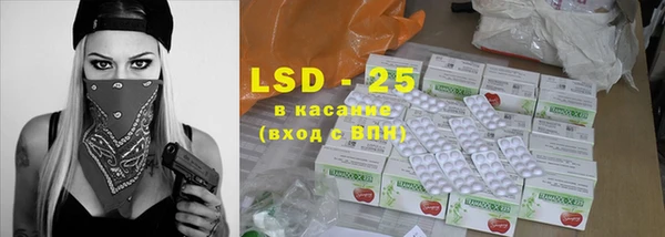 стаф Алексин