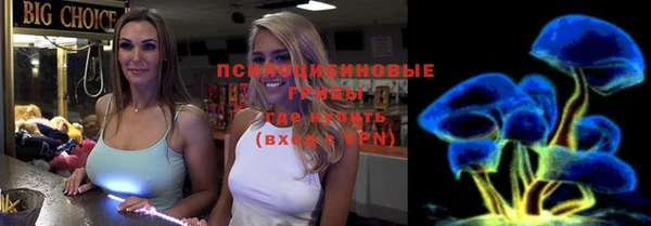 прущая мука Алзамай