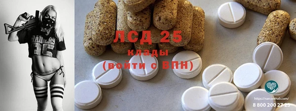 стаф Алексин