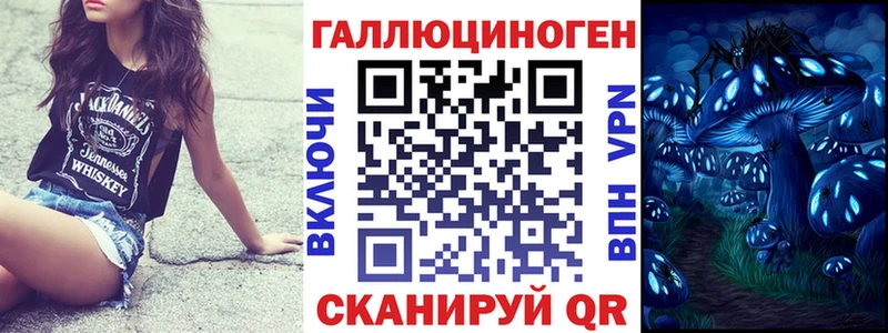 Галлюциногенные грибы Cubensis  Сортавала 